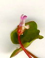 2008年10月10日0006.06.jpg