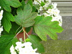 IMG_0112.01.jpg