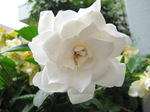 IMG_0281.01.jpg