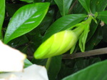 IMG_0288.01.jpg
