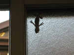 IMG_0481.01.jpg
