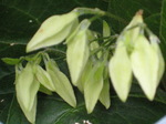 IMG_0500.01.jpg