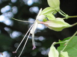 IMG_0501.01.jpg