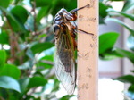 IMG_0550.01.jpg