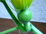IMG_0566.01.jpg