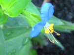 IMG_0574.01.jpg