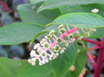 IMG_0587.01.jpg