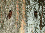 IMG_0596.01.jpg