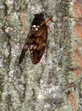 IMG_0597.01.jpg