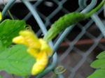 IMG_0606.01.jpg