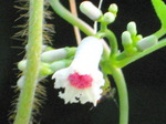 IMG_0617.01.jpg