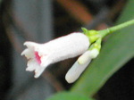 IMG_0619.01.jpg