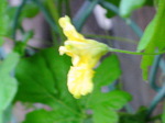 IMG_0625.01.jpg