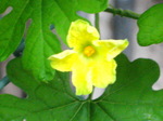 IMG_0627.01.jpg
