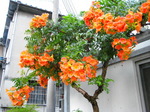 IMG_0628.02.jpg