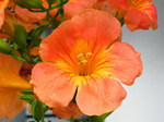 IMG_0632.01.jpg