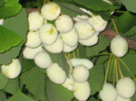 IMG_0663.01.jpg