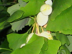 IMG_0664.01.jpg