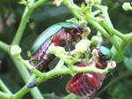 IMG_0700.01.jpg
