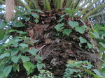 IMG_0757.01.jpg