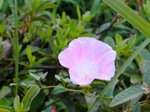 IMG_0775.01.jpg