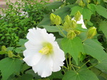 IMG_0783.01.jpg