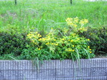 IMG_0805.01.jpg