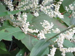 IMG_0818.01.jpg