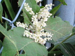 IMG_0819.01.jpg