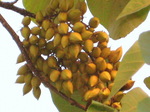 IMG_0868.01.jpg