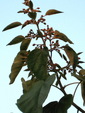 IMG_0869.01.jpg