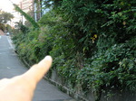 IMG_0985.02.jpg