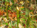 IMG_1098.01.jpg