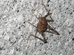 IMG_1107.01.jpg
