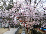 IMG_1659.01.jpg