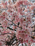IMG_1660.01.jpg