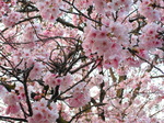 IMG_1661.01.jpg
