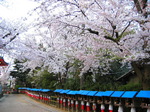 IMG_1663.01.jpg