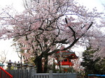 IMG_1665.01.jpg