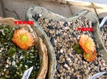 szk070213 005.01.jpg