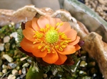 szk070213 007.01.jpg