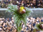 szk070216 004.01.jpg