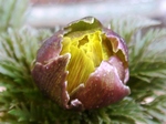 szk070216 006.02.jpg