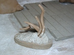 szk070217 004.01.jpg