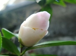 szk070219 003.01.jpg
