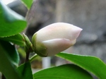 szk070219 008.01.jpg