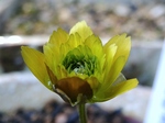 szk070220 004.01.jpg