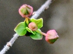szk070221.01.jpg