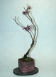 szk070223 001.01.jpg