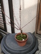 szk070225 002.01.jpg